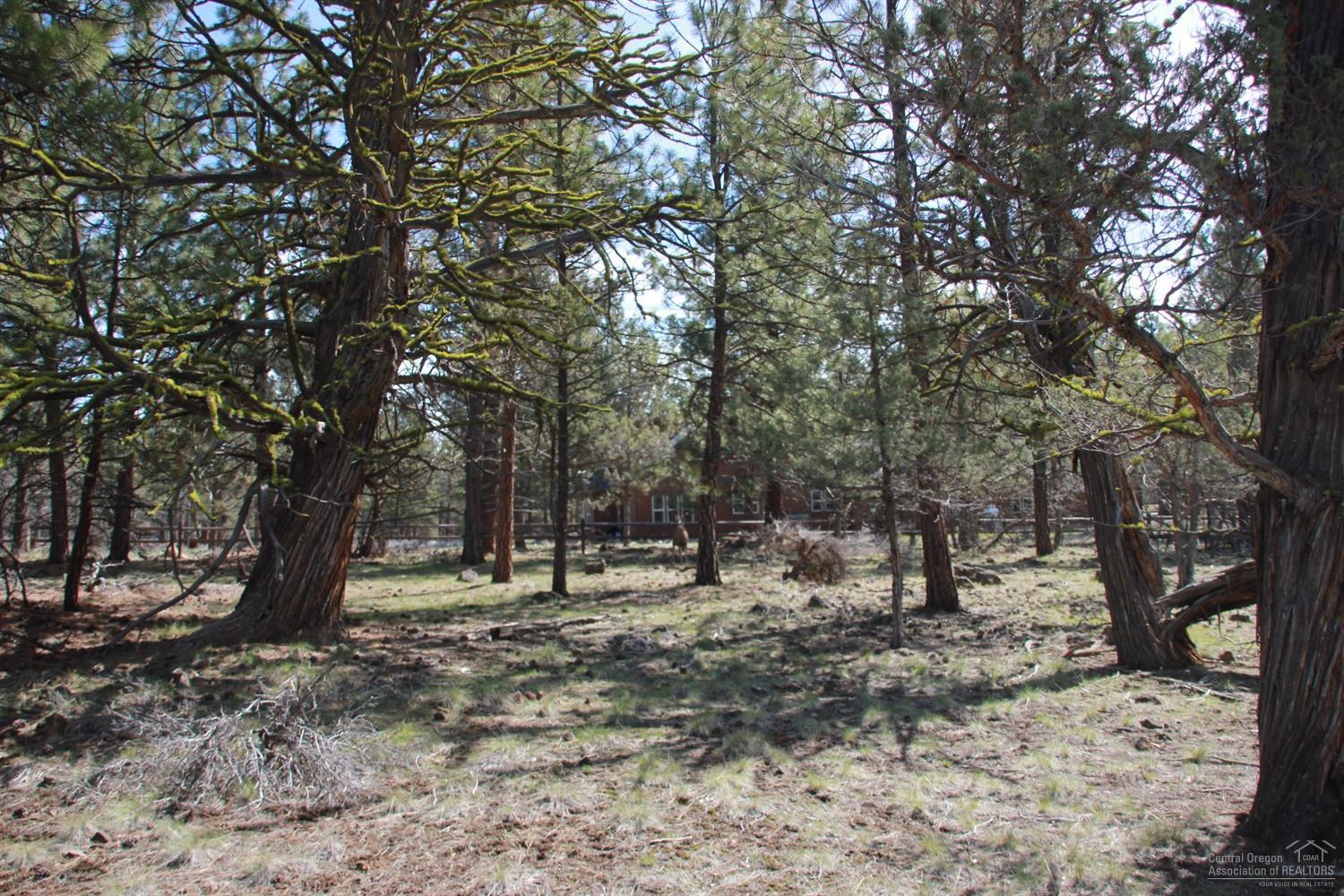 Squaw Creek Canyon - Land