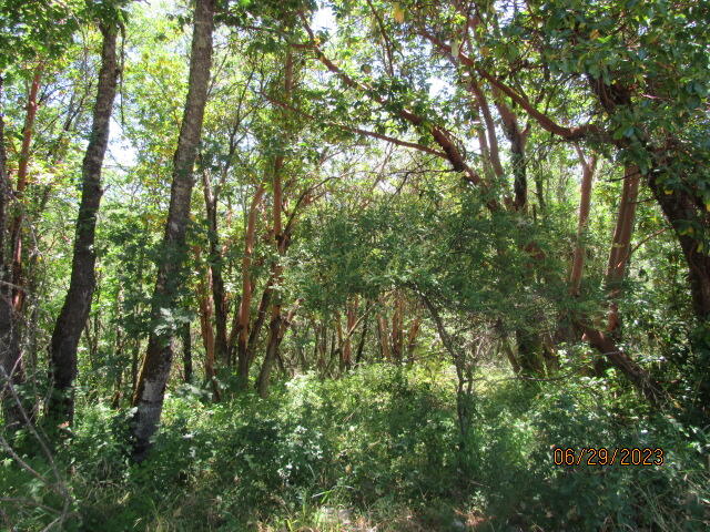 Merlin Manor Subdivision - Land