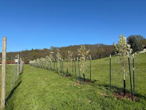 Tiny photo for 6015 Dark Hollow Road, Medford, OR 97501 (MLS # 220212915)