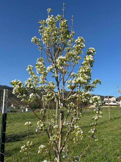 Tiny photo for 6015 Dark Hollow Road, Medford, OR 97501 (MLS # 220212915)