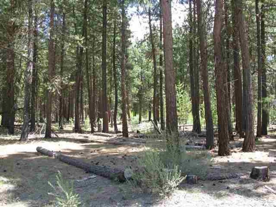 Beautiful Subdivision In Mature Pines. Very Quiet Neighborhood. Private Common Area, Access To Sprague River. Area Of Stick And Manufactured Homes.