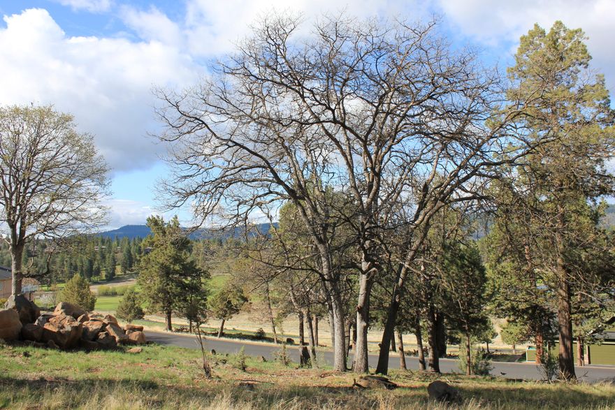 Property is located in the Ridge View area of the Running Y Ranch Resort just outside city of Klamath Falls. Home site offers view of the valley in which is located the Arnold Palmer designed golf course...and the resort Lodge on the other side of the valley. Resort community amenities include pitch & putt course, 82 room lodge/hotel, Ruddy Duck restaurant, Sandhill Spa, convention center, and dog park. The HOA maintains a fitness center with indoor pool/spa; pickleball, tennis, volleyball and basketball courts; and, a fishing pond. Other resort amenities include market/sandwich shop, WorldMark timeshare facility, Real Taste of India restaurant and Shagi Mane salon. Nearby sites to visit are Carter Lake National Park and Lava Beds National Monument. Activities abound – fishing, kayaking, canoeing, ziplining, biking, hiking and hunting.