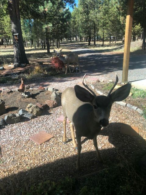 Tiny photo for 53530 Bridge Drive, La Pine, OR 97739 (MLS # 220202546)