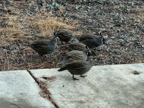 Tiny photo for 53530 Bridge Drive, La Pine, OR 97739 (MLS # 220202546)