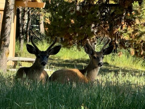 Tiny photo for 53530 Bridge Drive, La Pine, OR 97739 (MLS # 220202546)