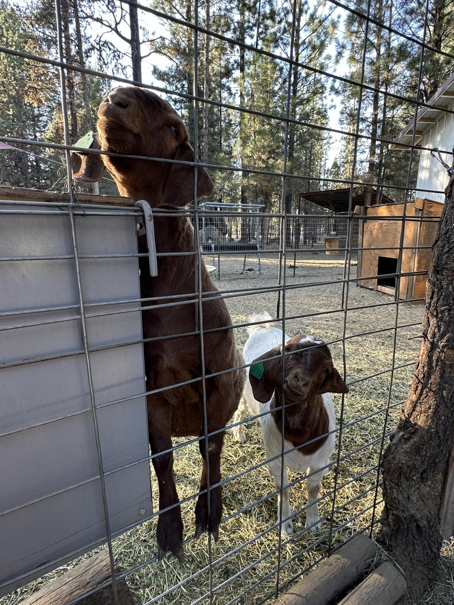 Newberry Estates - Residential