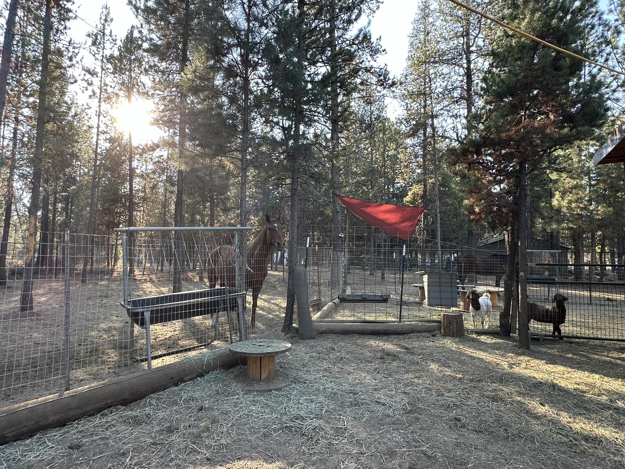 Newberry Estates - Residential