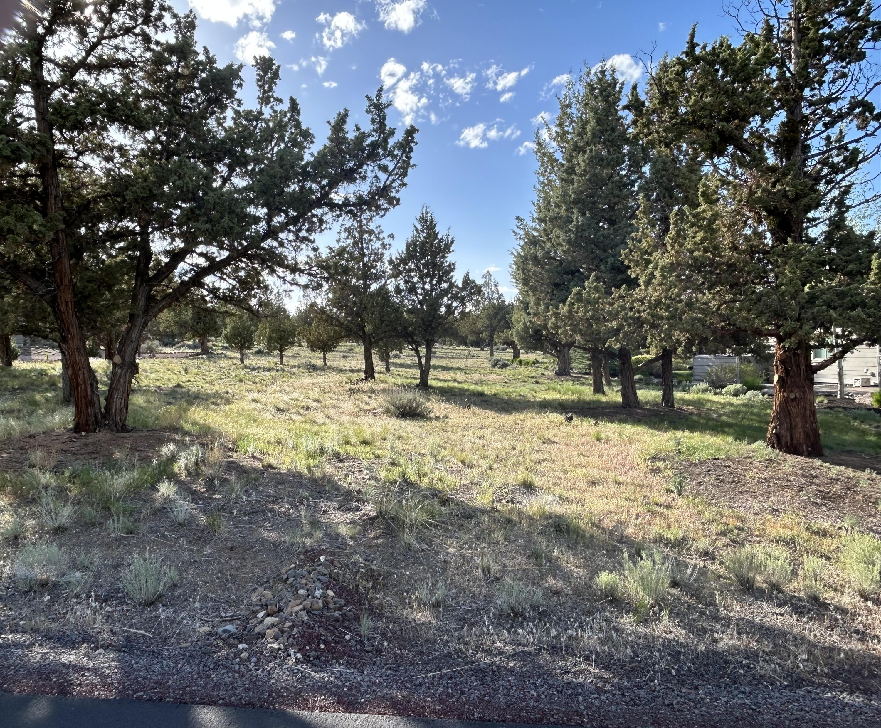 10216 Sundance Ridge Loop