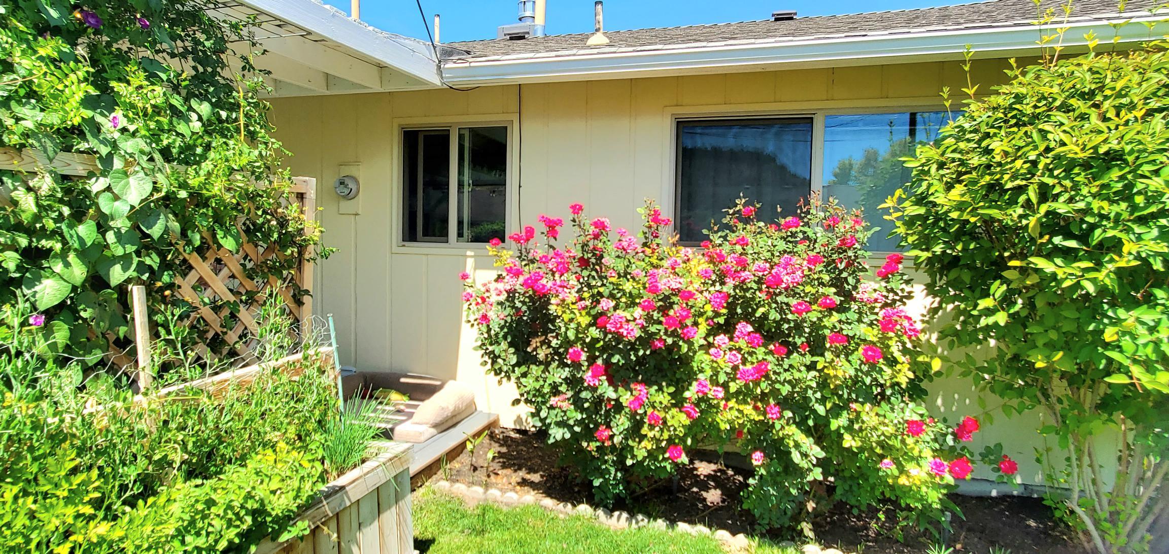 Hamman - Residential