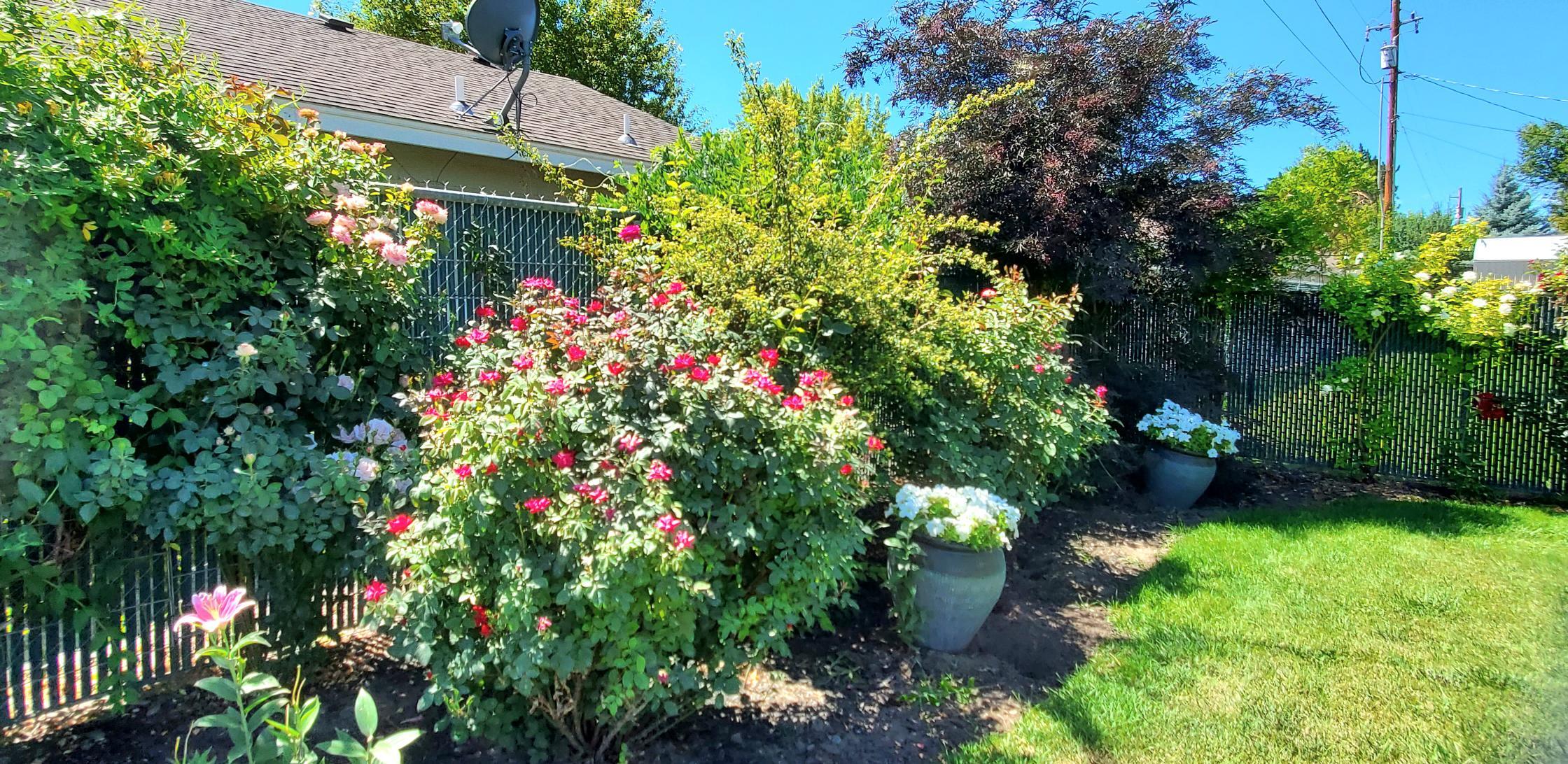 Hamman - Residential