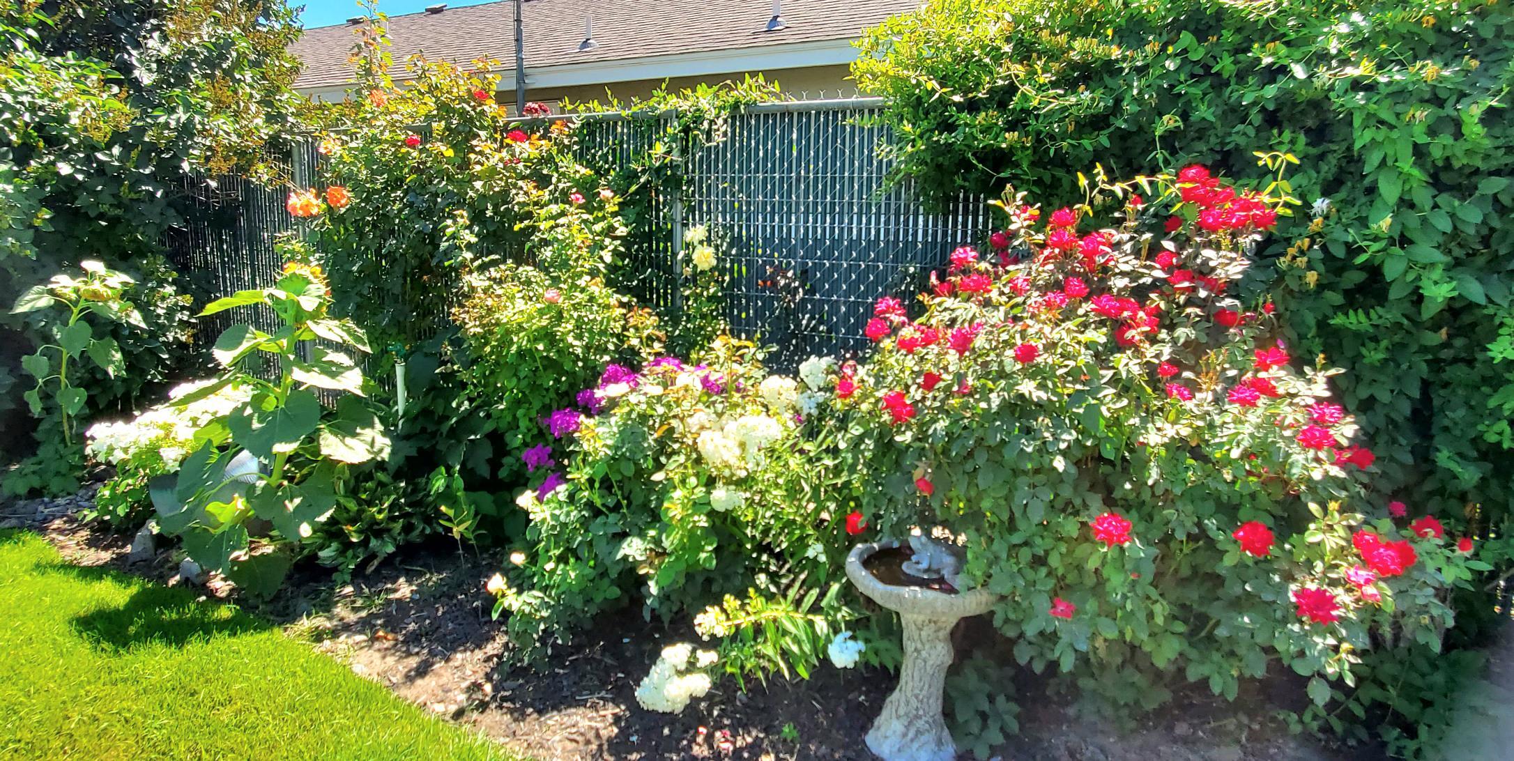 Hamman - Residential