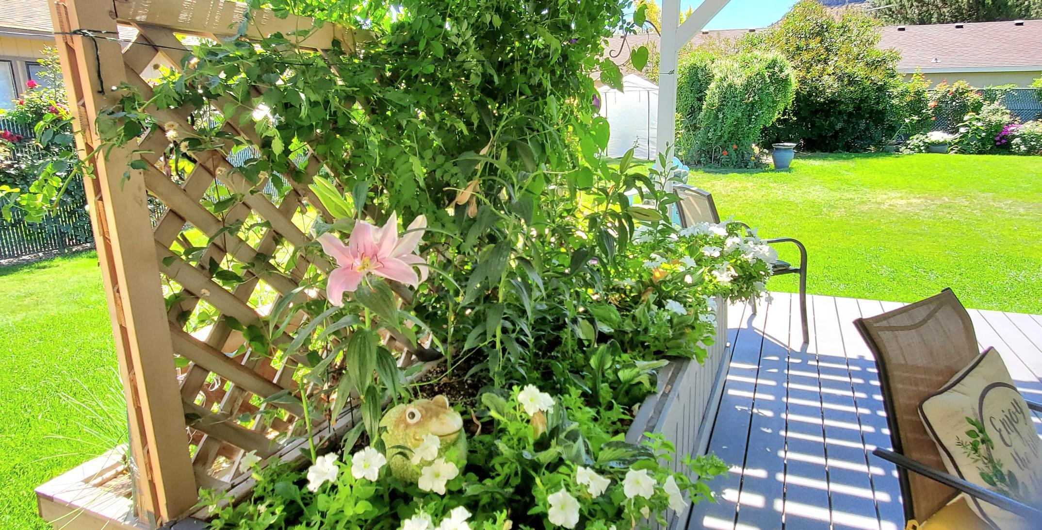 Hamman - Residential