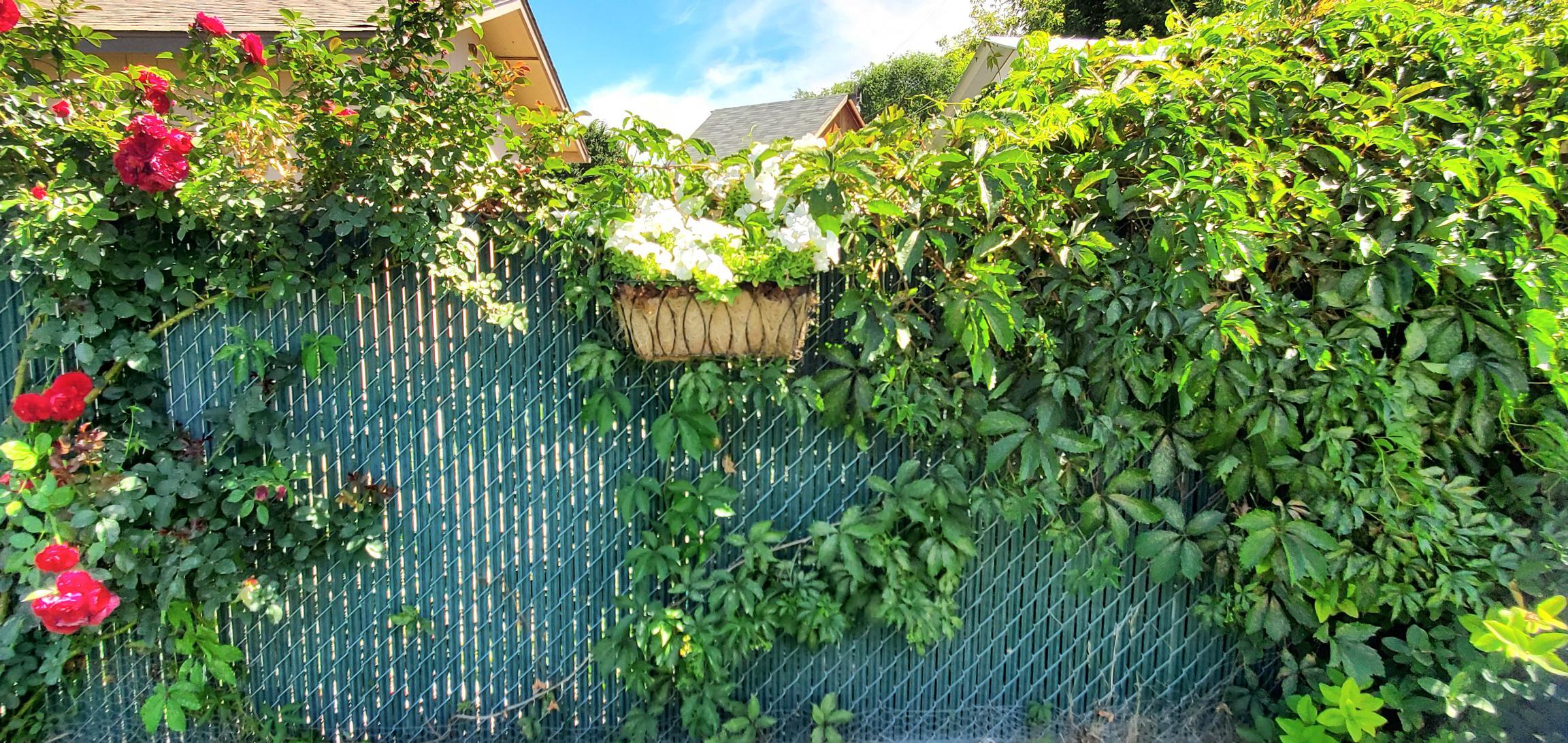 Hamman - Residential