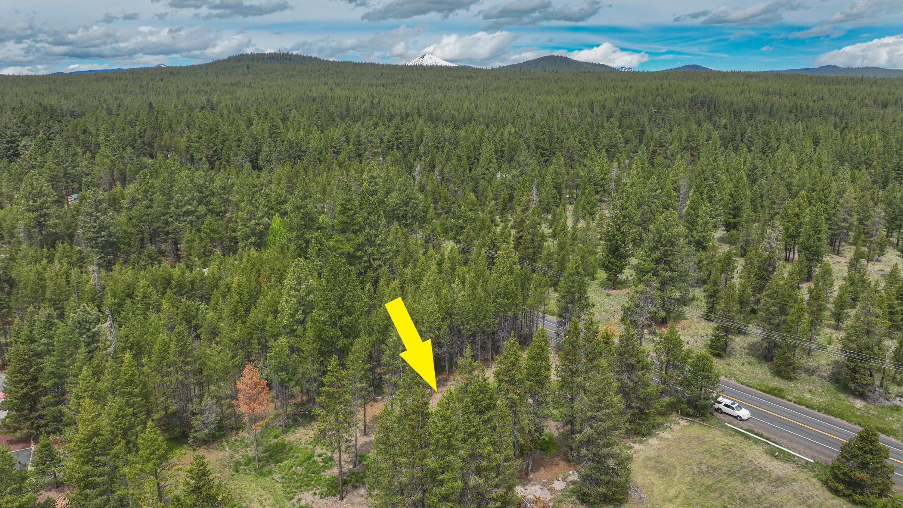 17133 Spring River Road