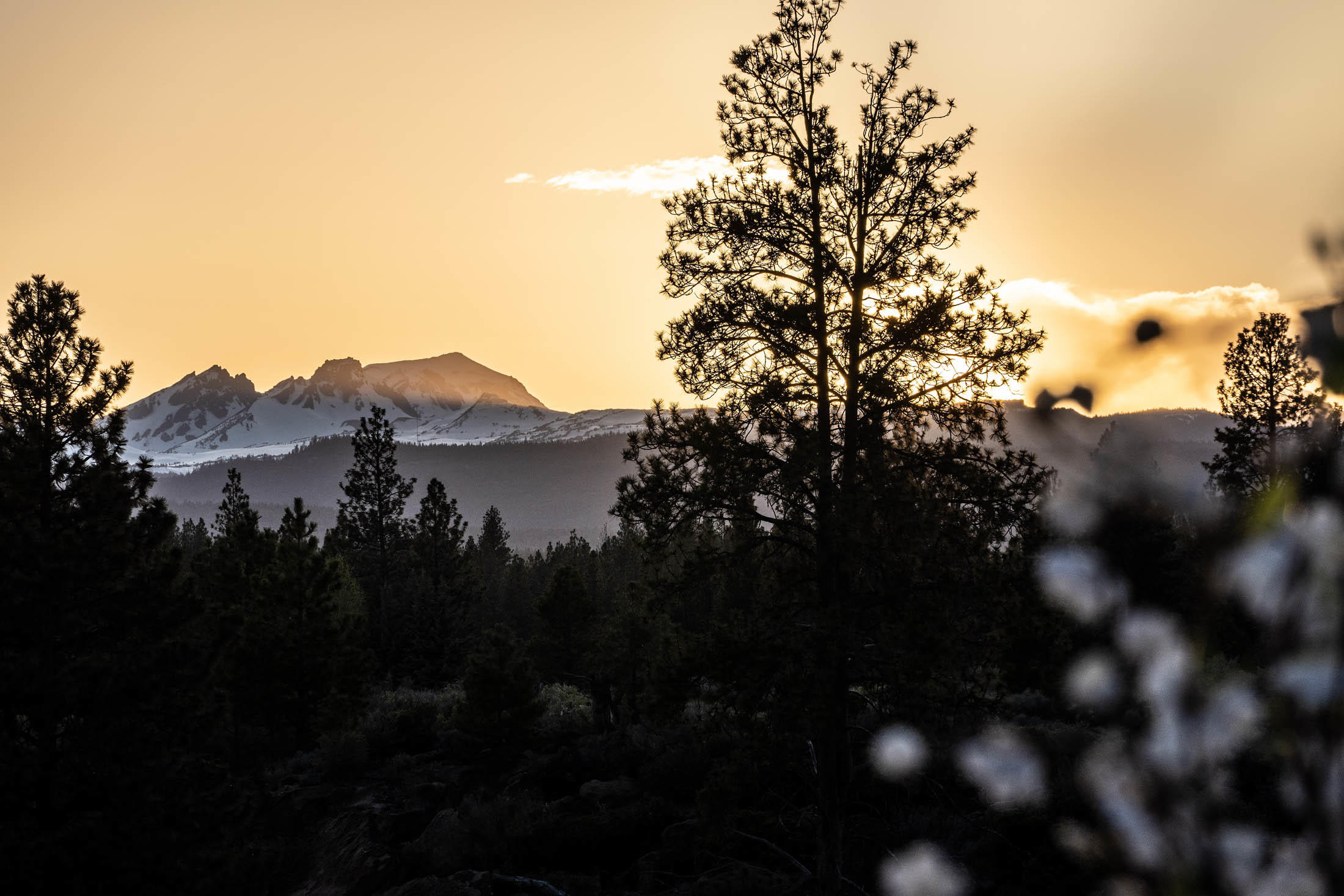 River Bend Estate - Residential