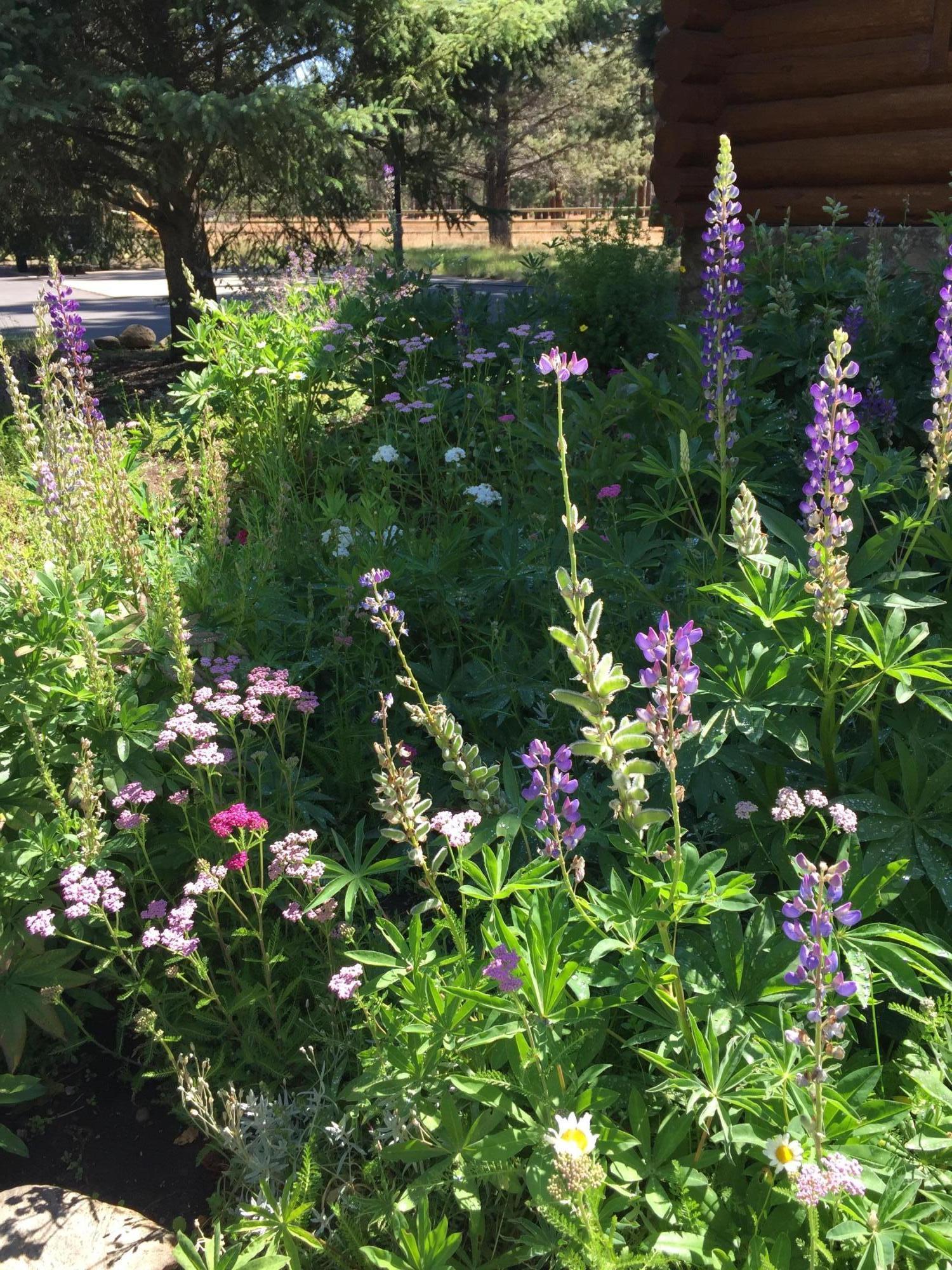 Indian Ford Meadows - Residential