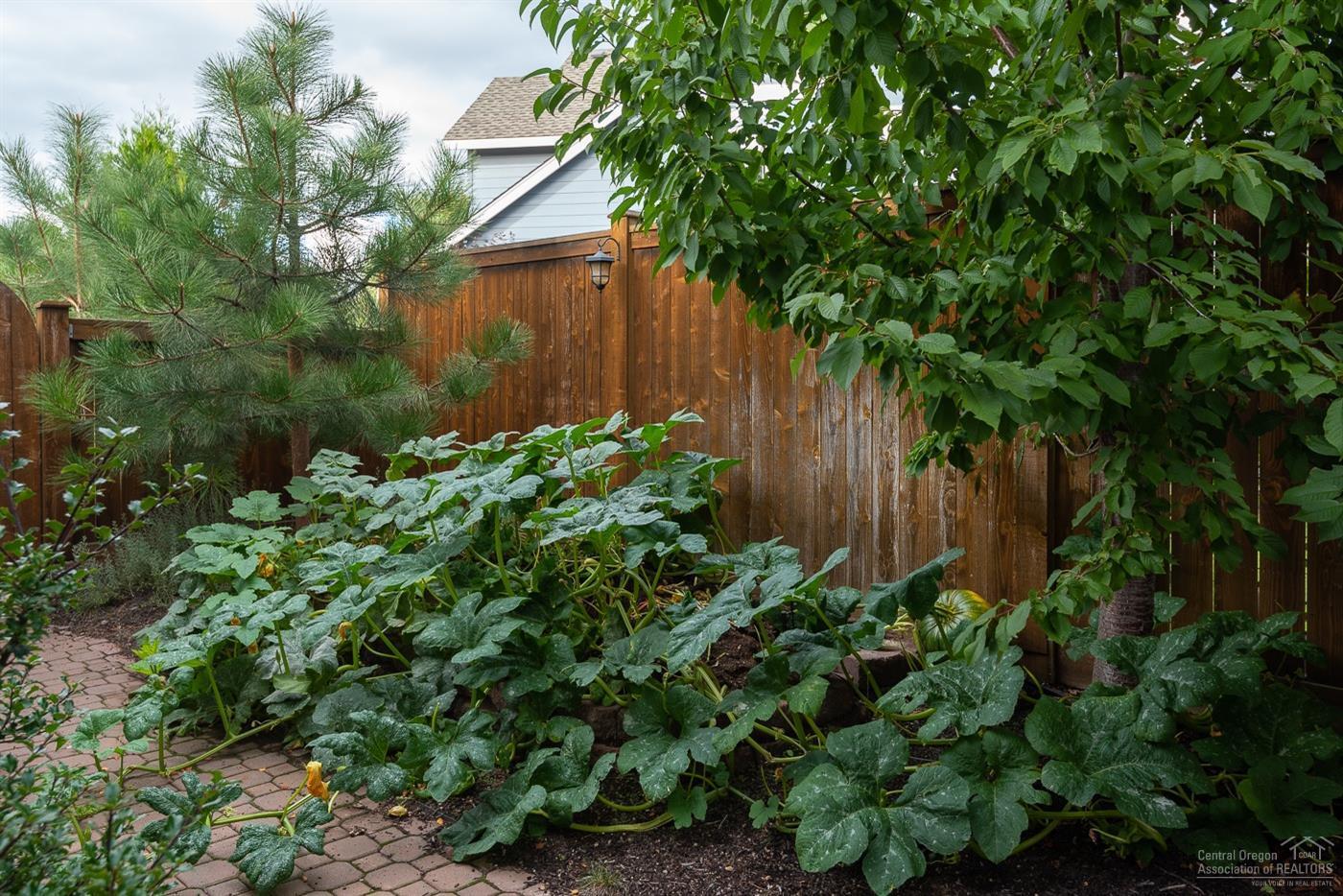 Phoenix Park - Residential