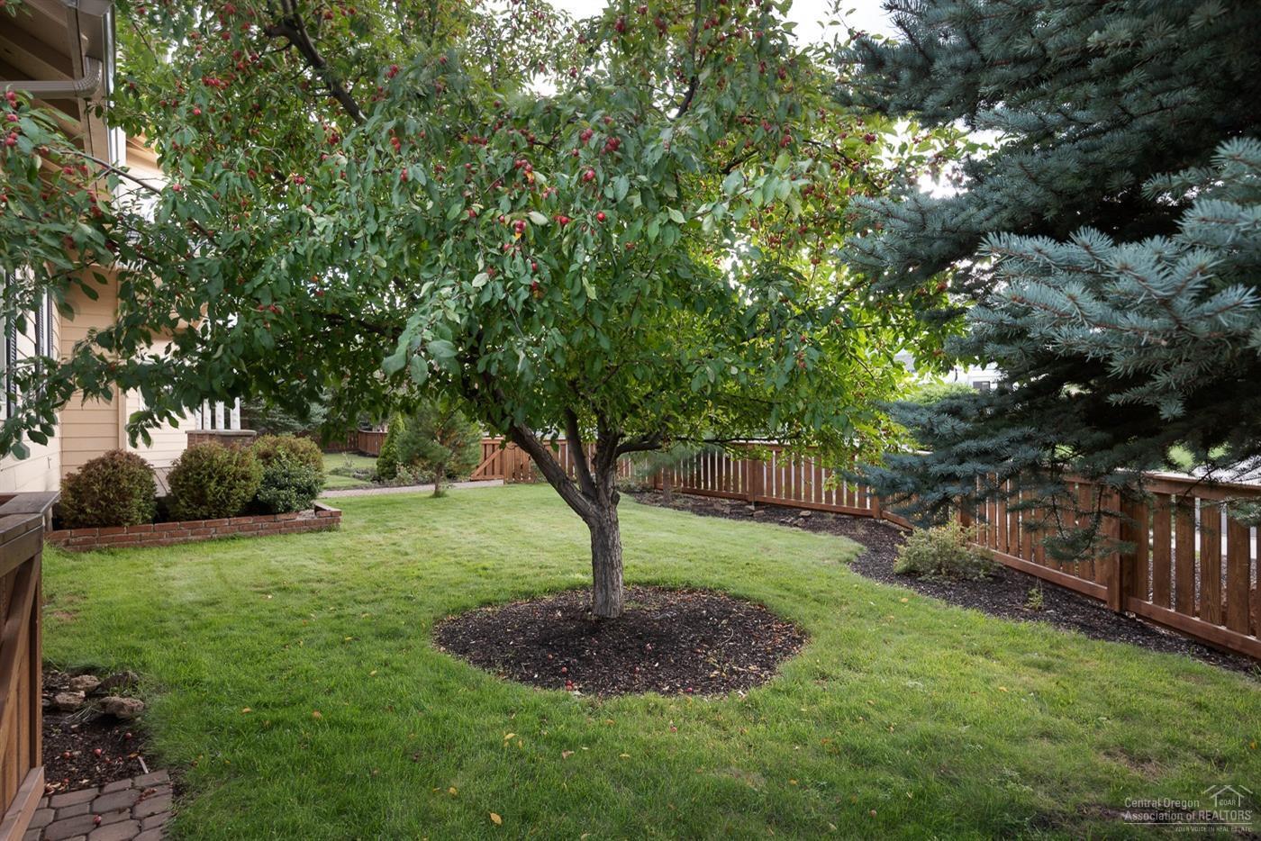 Phoenix Park - Residential