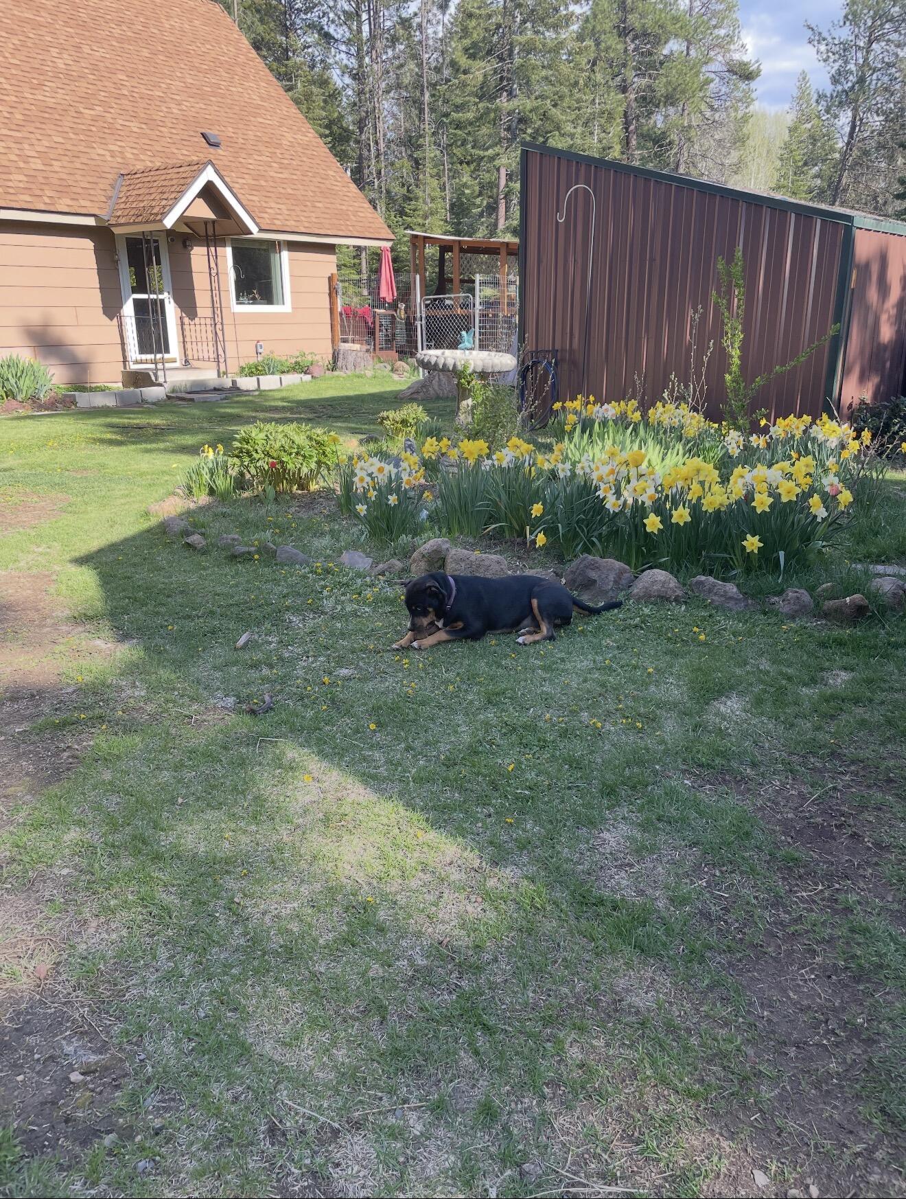 Harriman Park - Residential