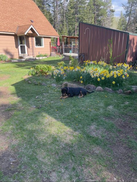 Tiny photo for 27233 Rocky Point Road, Klamath Falls, OR 97601 (MLS # 220212739)