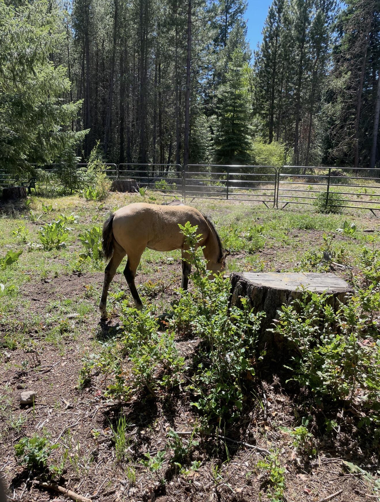 Harriman Park - Residential