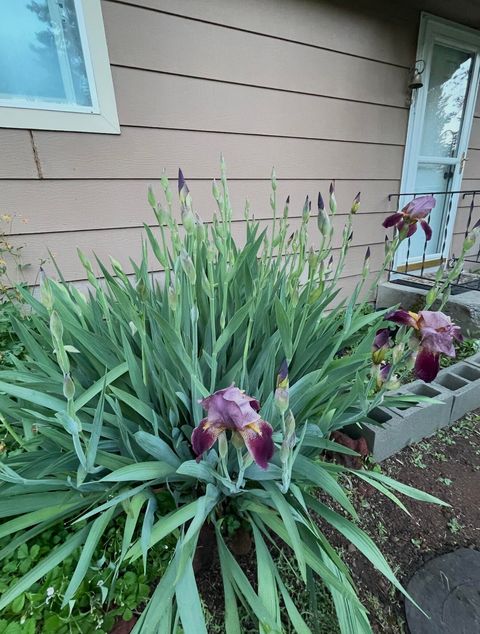 Tiny photo for 27233 Rocky Point Road, Klamath Falls, OR 97601 (MLS # 220212739)