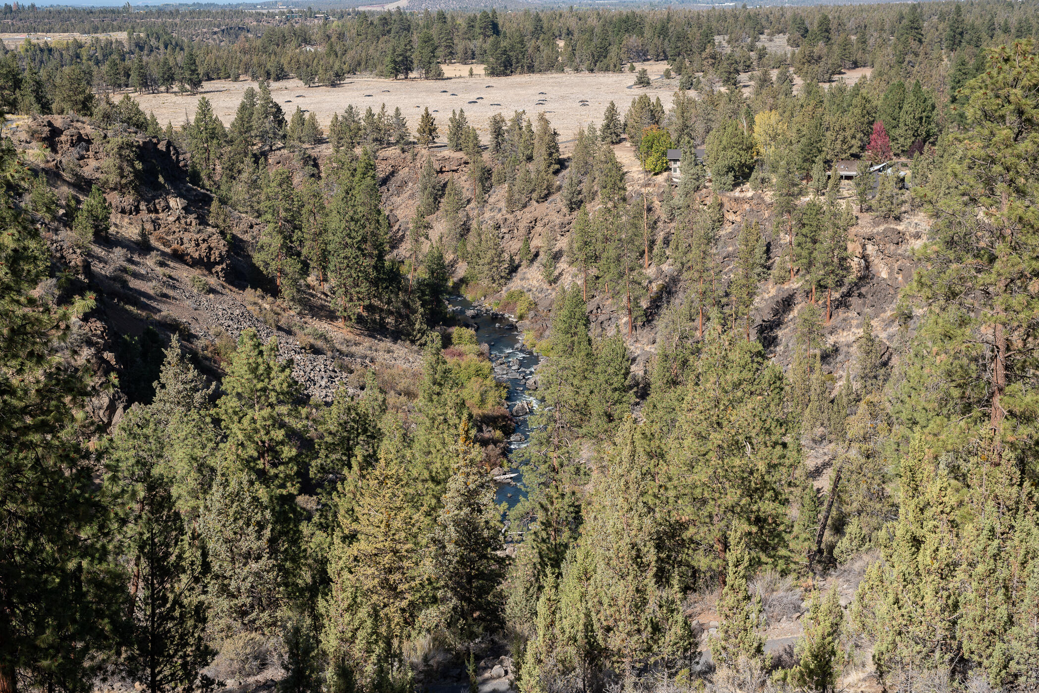 Wyndemere - Residential