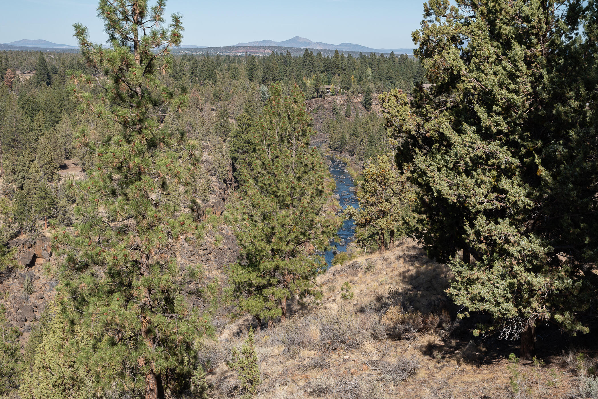 Wyndemere - Residential