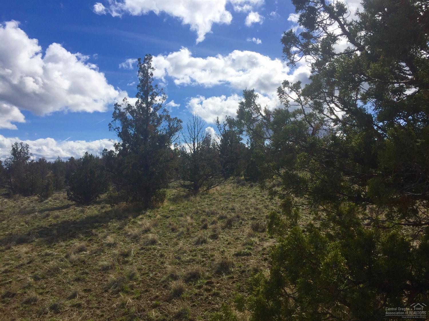 Longhorn Ridge - Land