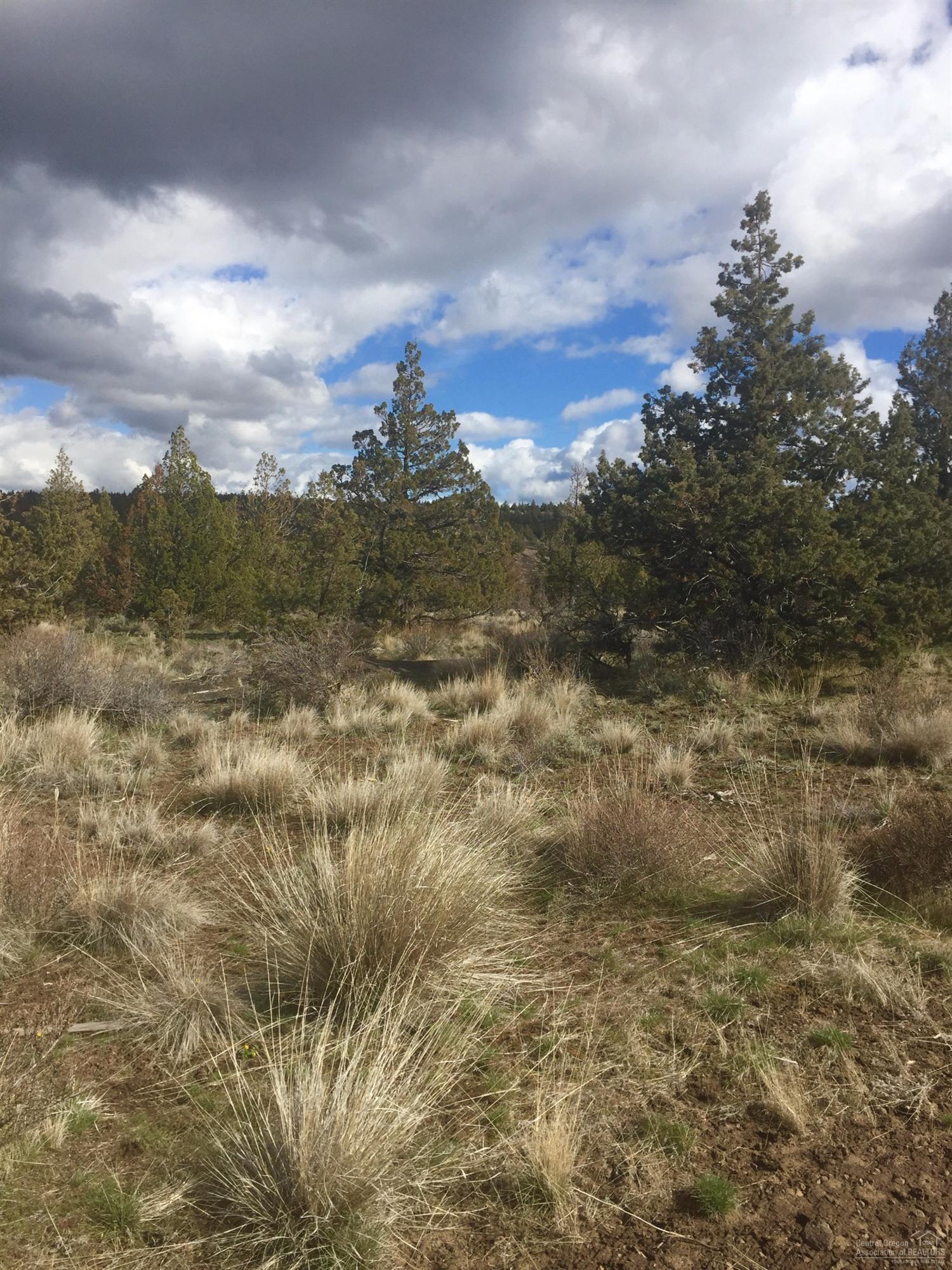 Longhorn Ridge - Land