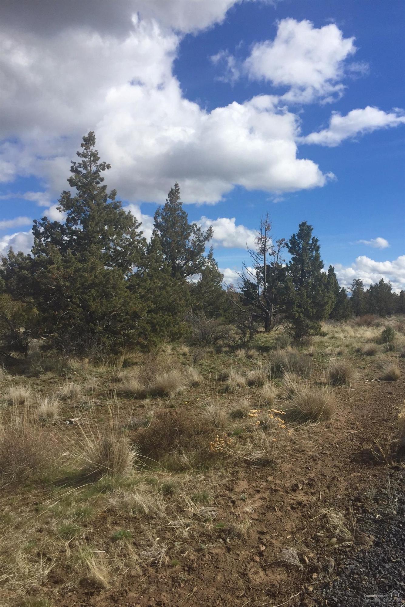 Longhorn Ridge - Land