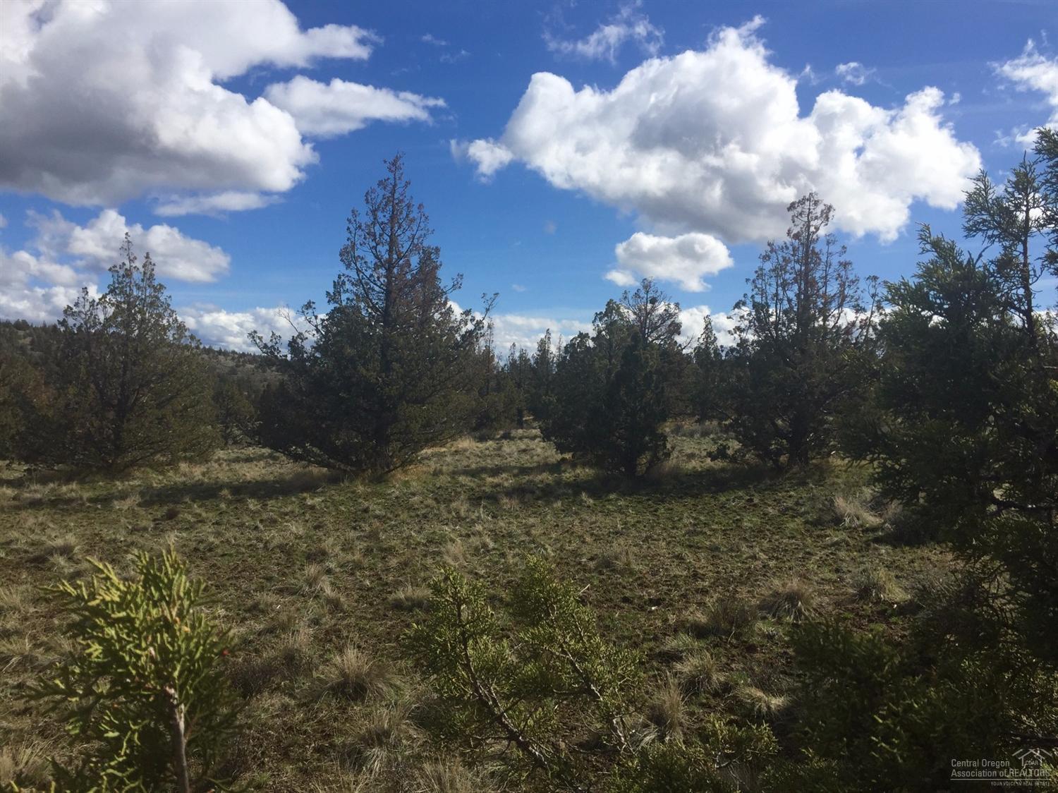 Longhorn Ridge - Land