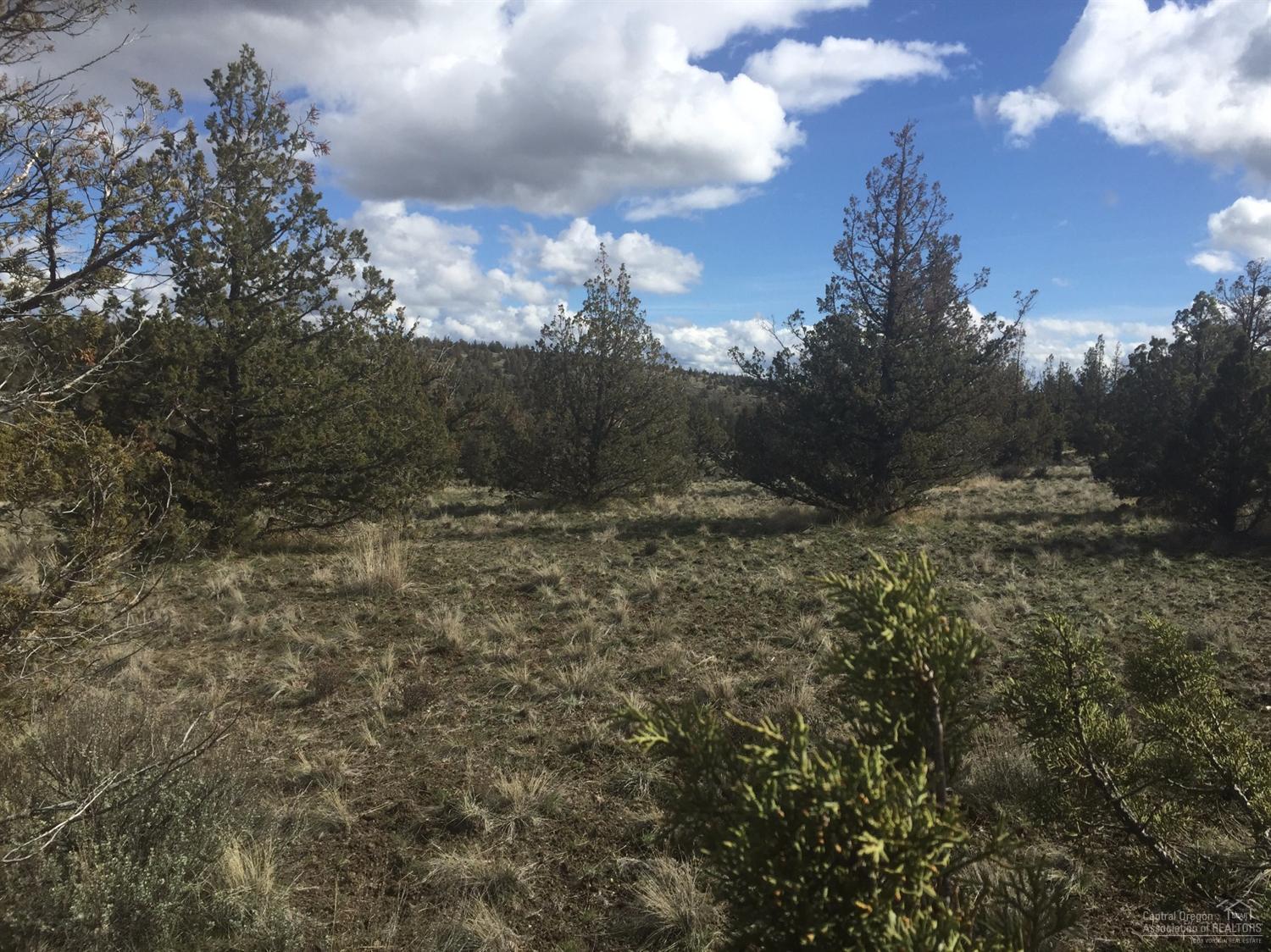 Longhorn Ridge - Land