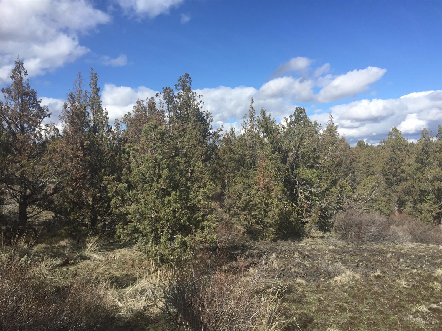 Longhorn Ridge - Land