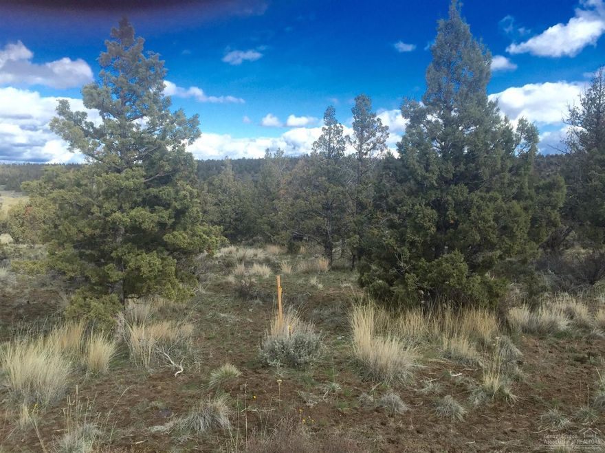 Reduced almost $10,000! Located in the beautiful gated community of Longhorn Ridge is this lovely 4.99ac lot. It's gently sloped and nicely treed giving you lots of privacy. The roads are wide and paved, power and phone are to the property line and it's approved for a standard septic. There is a 2 party shared well with a well agreement in place. Within the subdivision you'll find lots of BLM land available for homeowners and their guests to use. Close to the Prineville Reservoir, Ochoco Mountains and more!