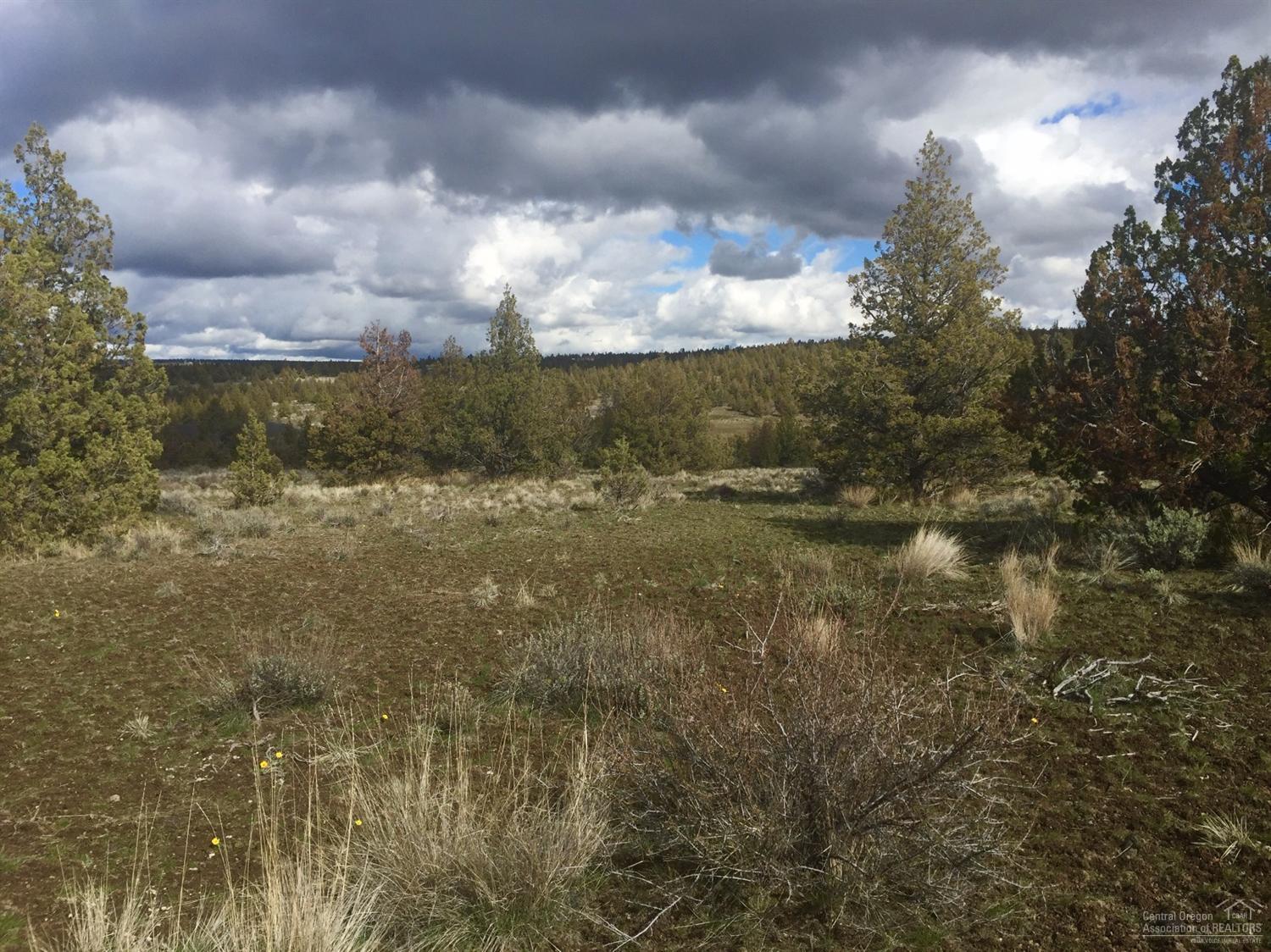 Longhorn Ridge - Land