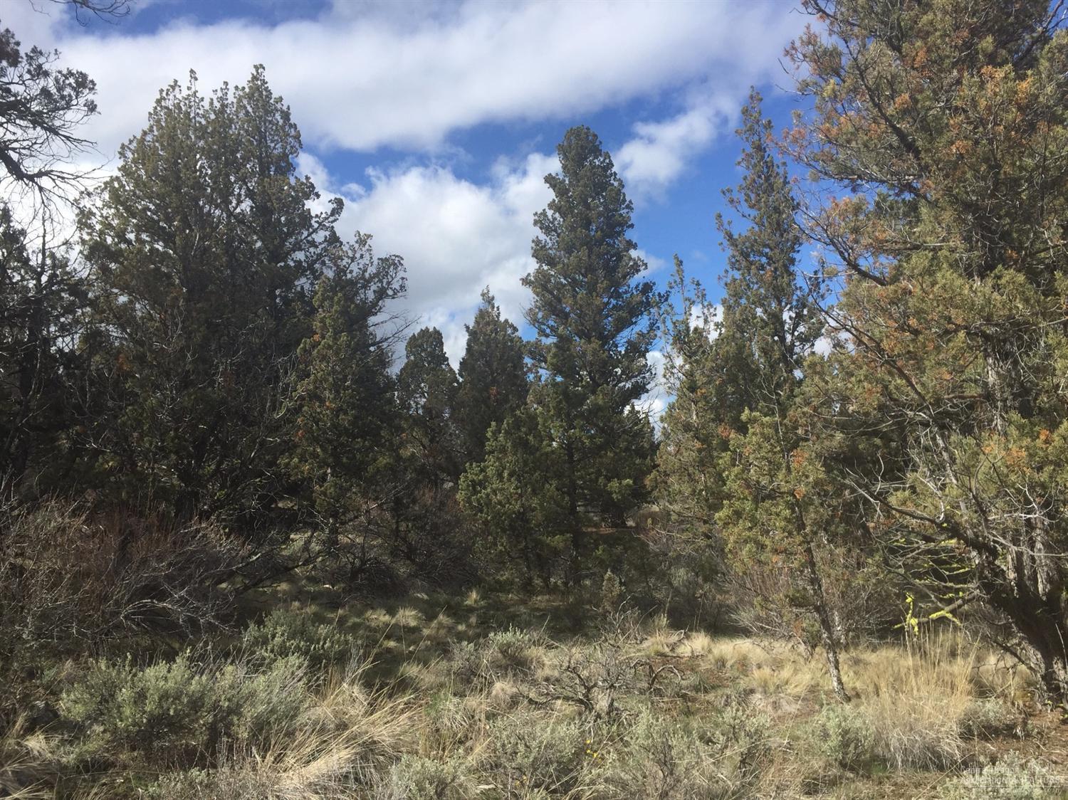 Longhorn Ridge - Land