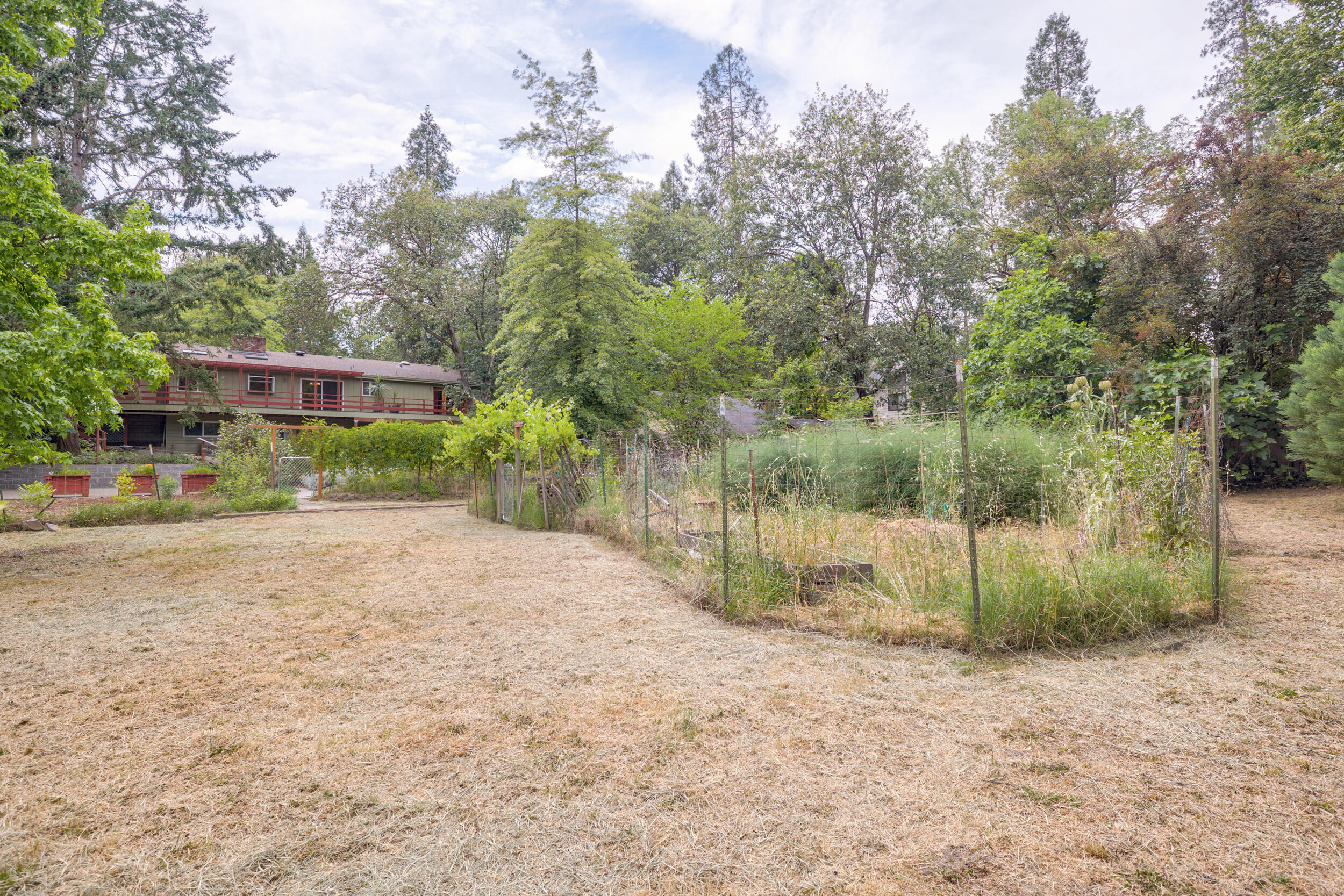 Lincoln Park Addition - Residential