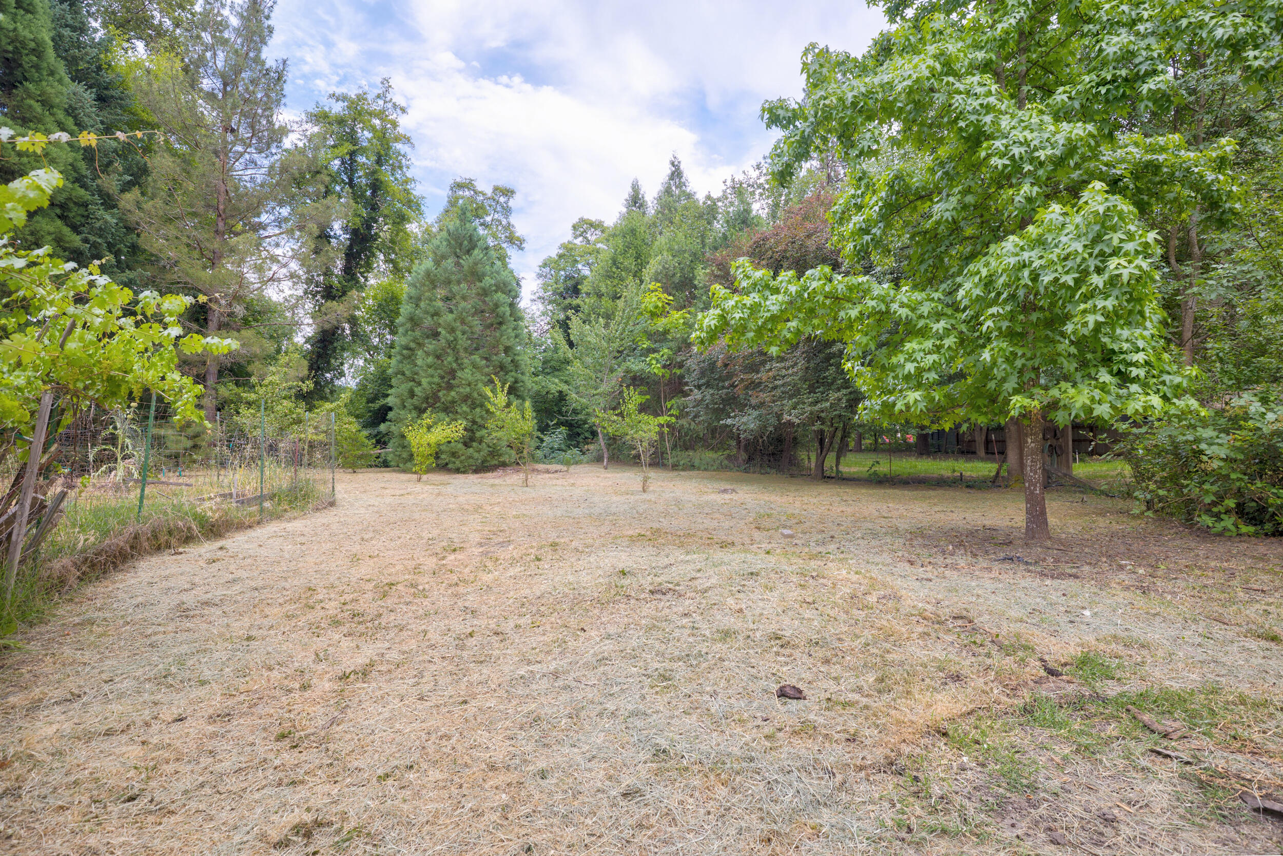 Lincoln Park Addition - Residential