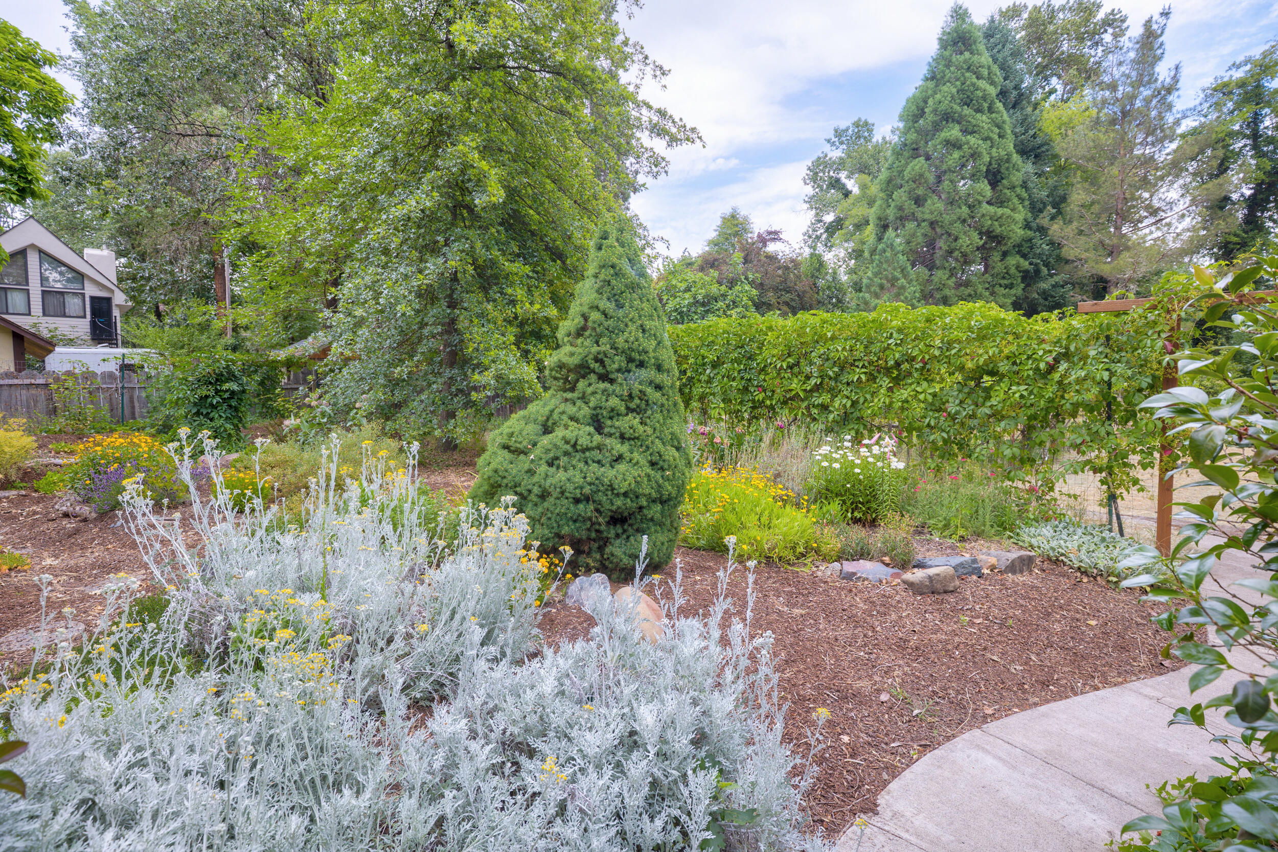 Lincoln Park Addition - Residential