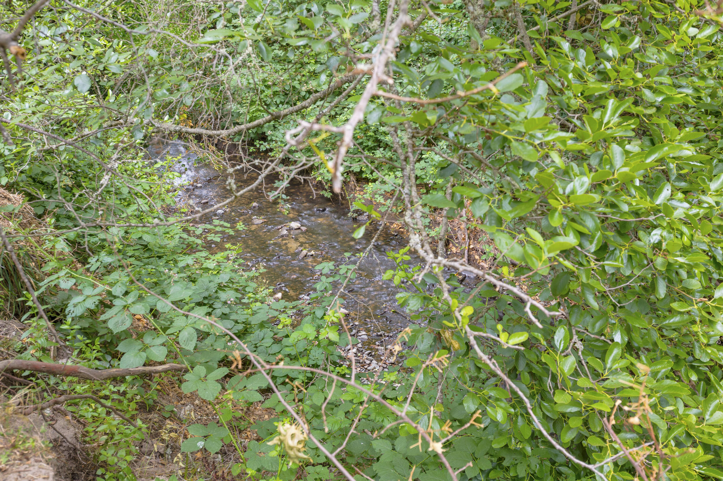 Lincoln Park Addition - Residential