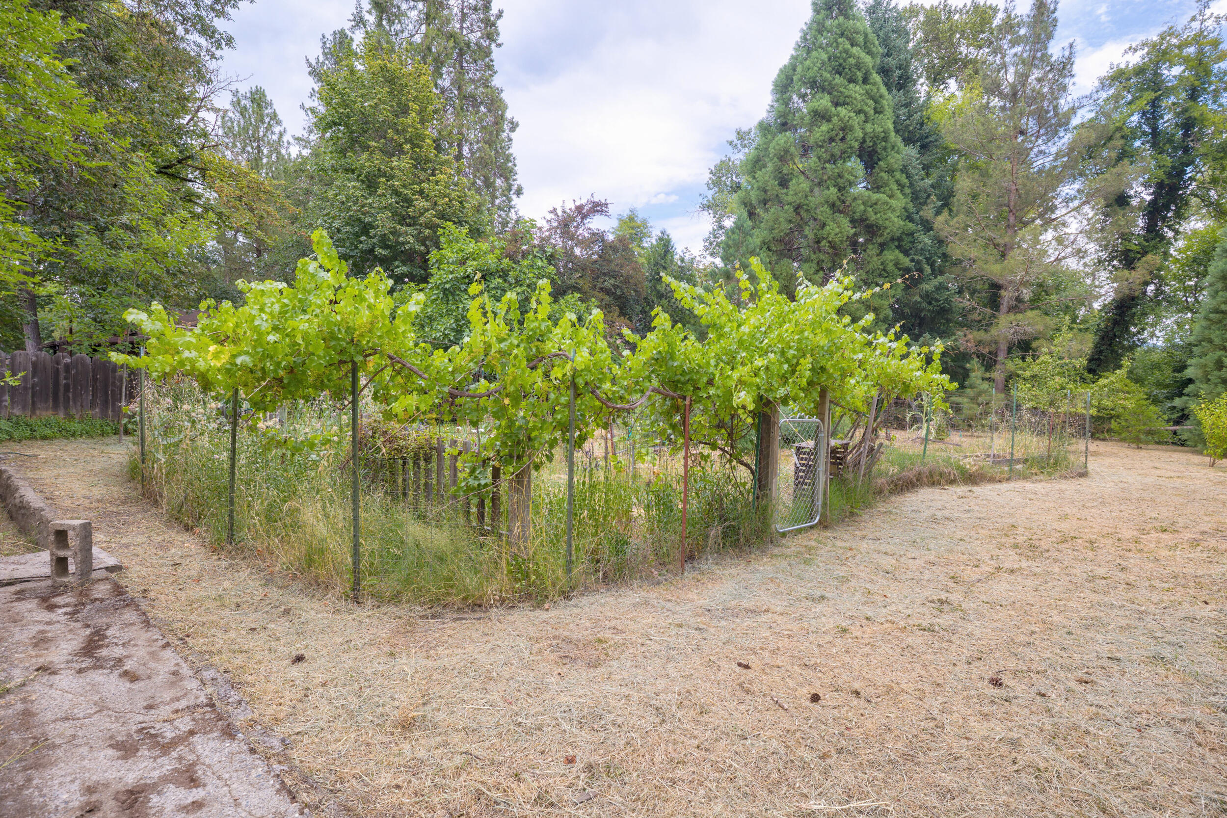Lincoln Park Addition - Residential