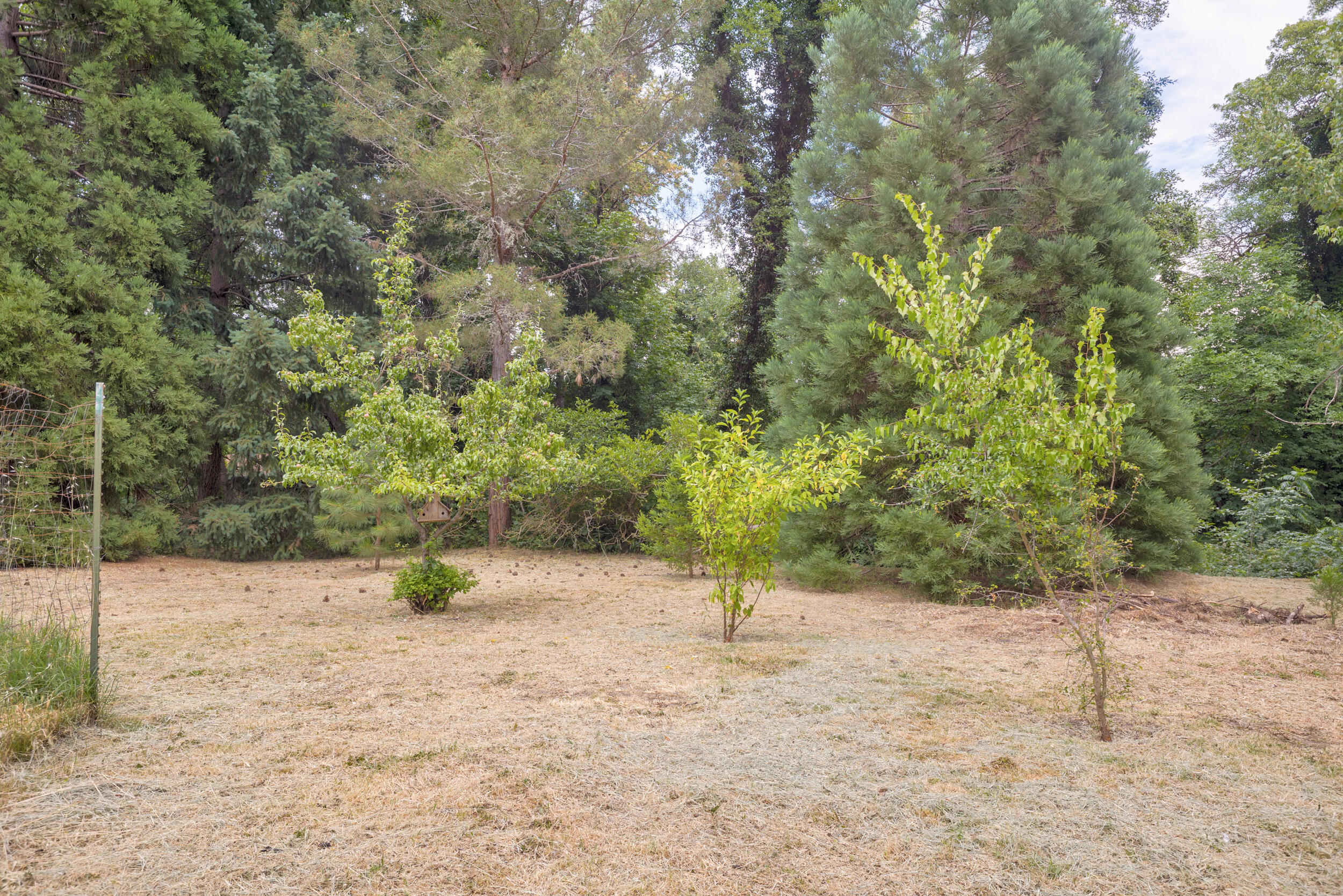 Lincoln Park Addition - Residential