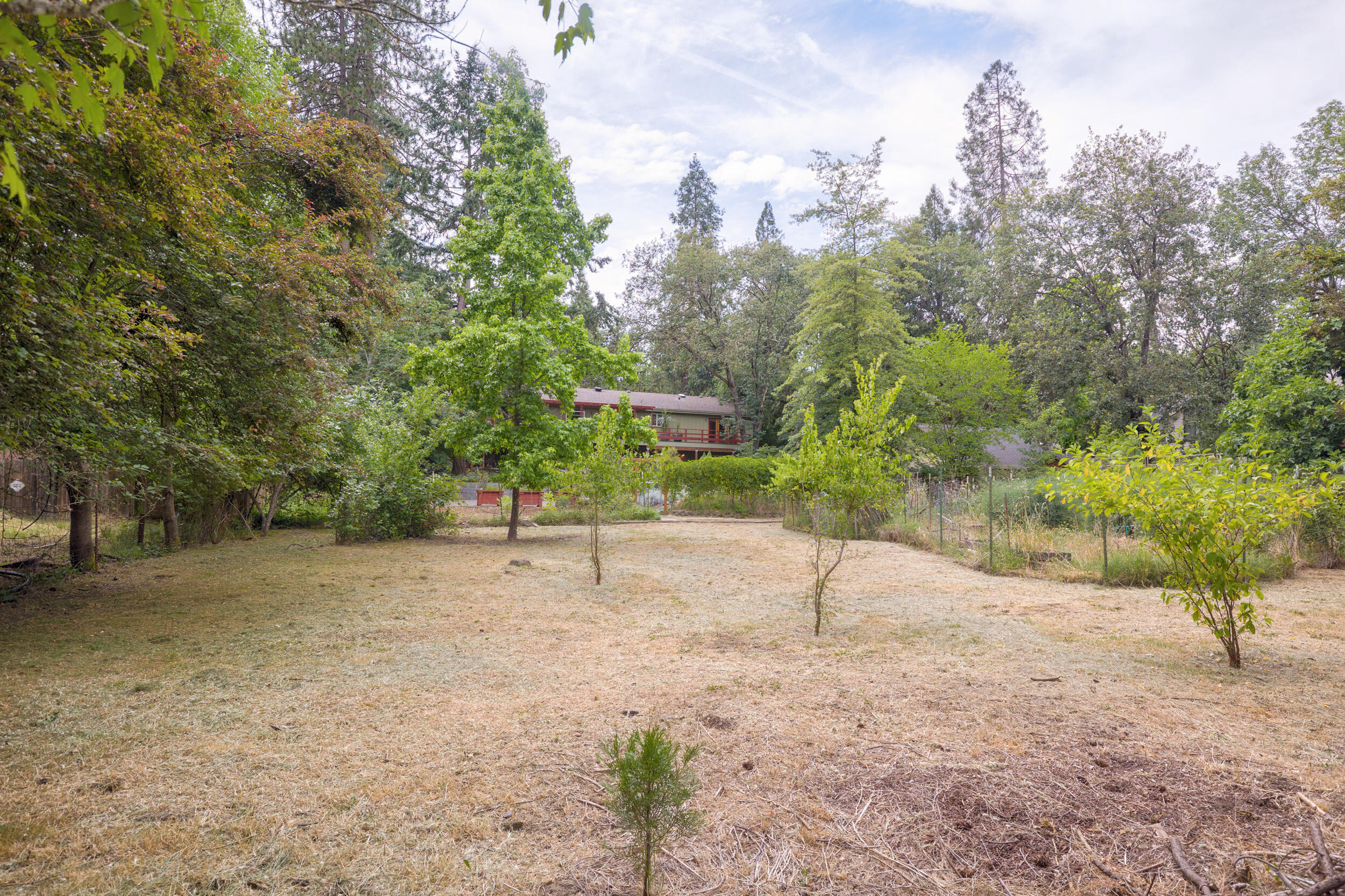 Lincoln Park Addition - Residential