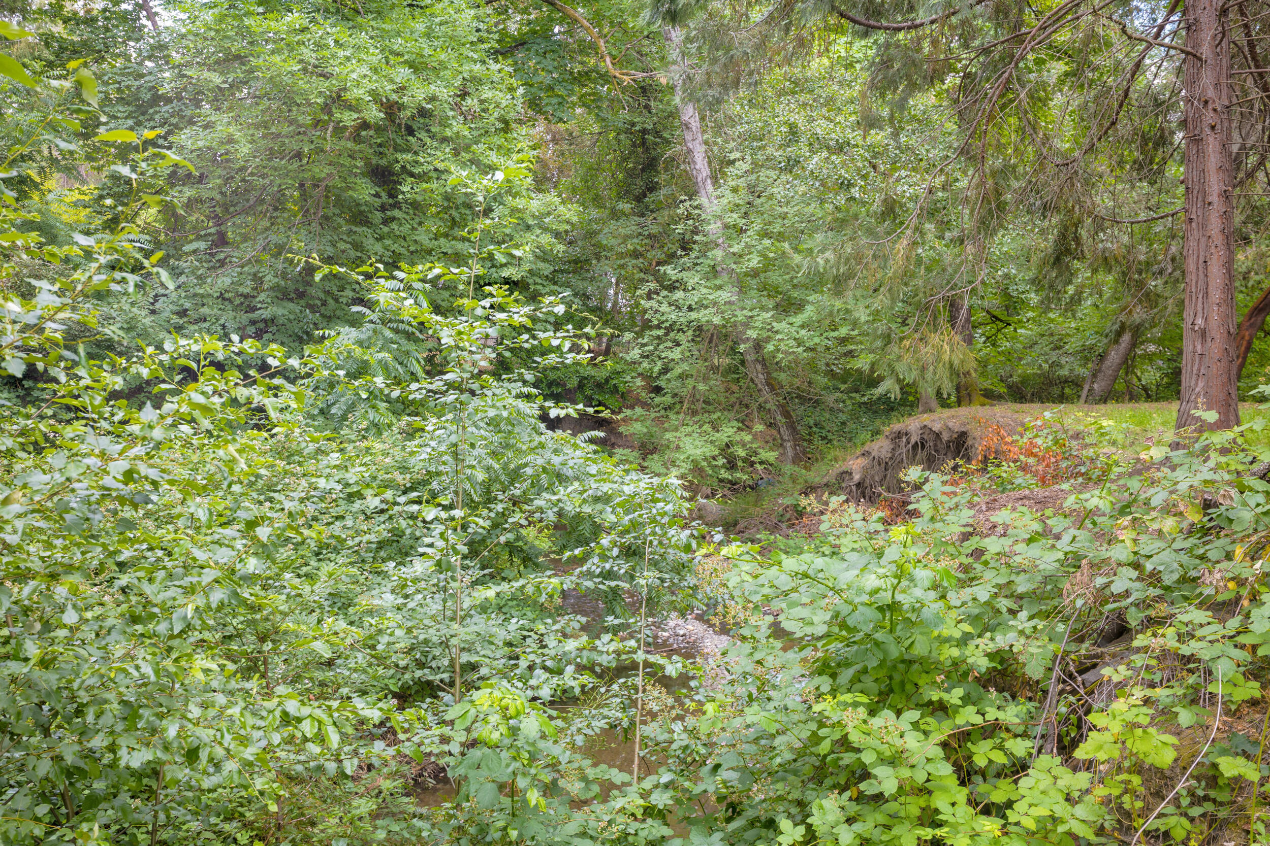 Lincoln Park Addition - Residential