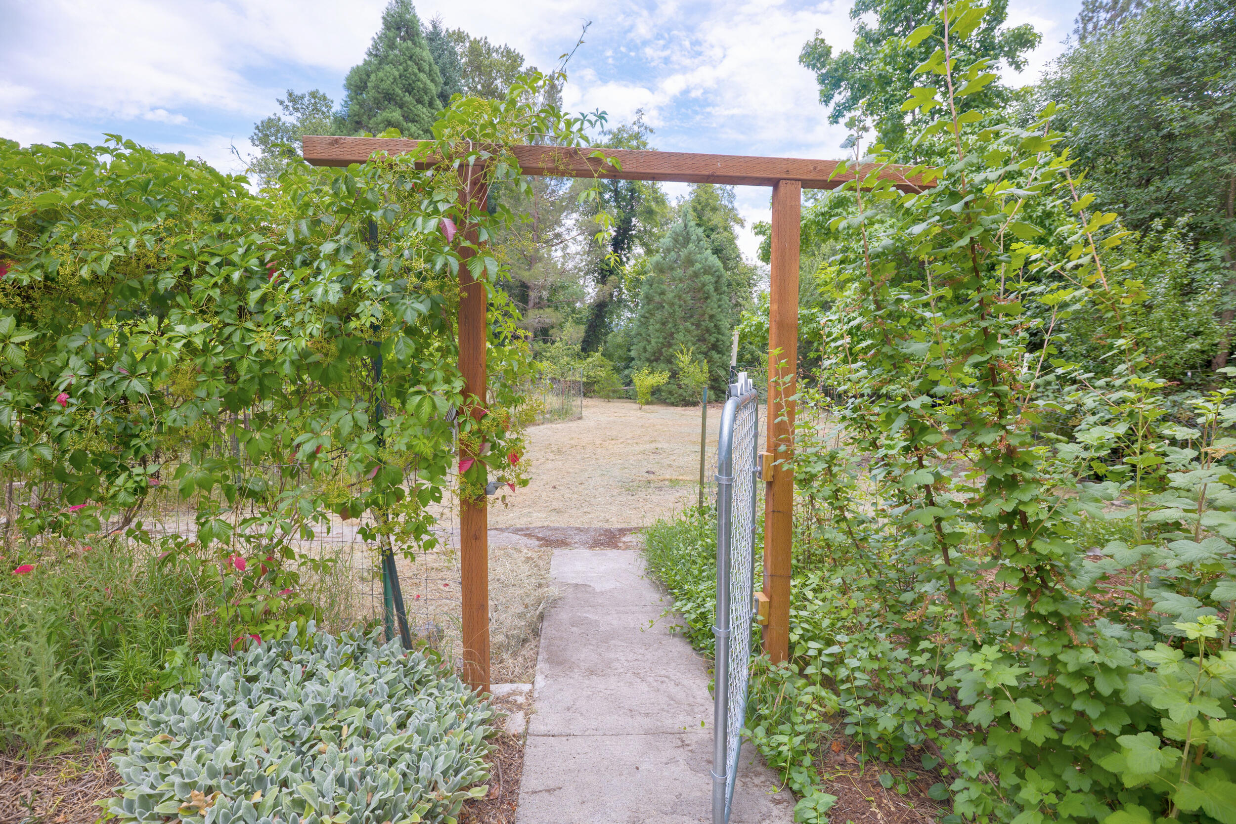 Lincoln Park Addition - Residential