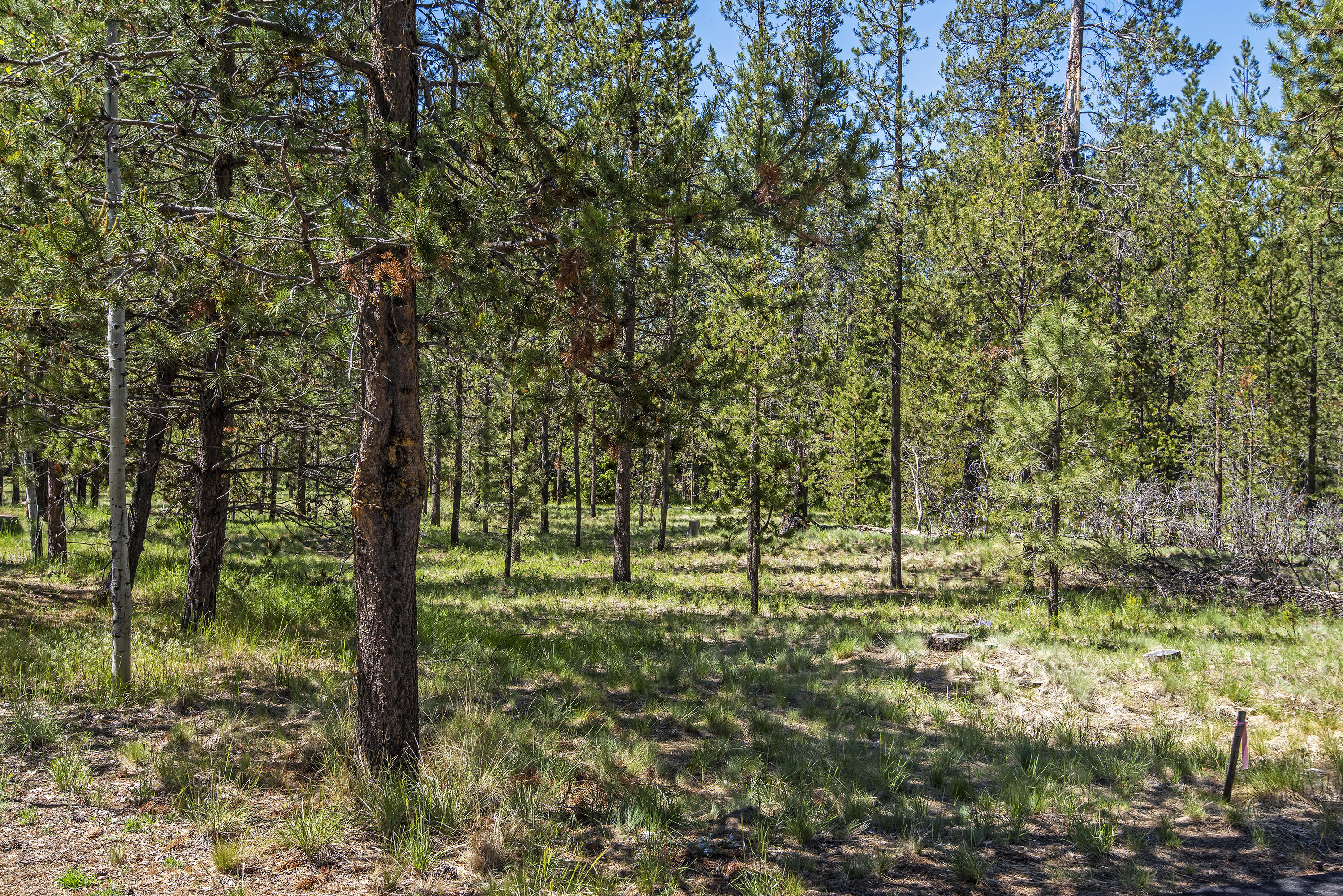 River Village - Land