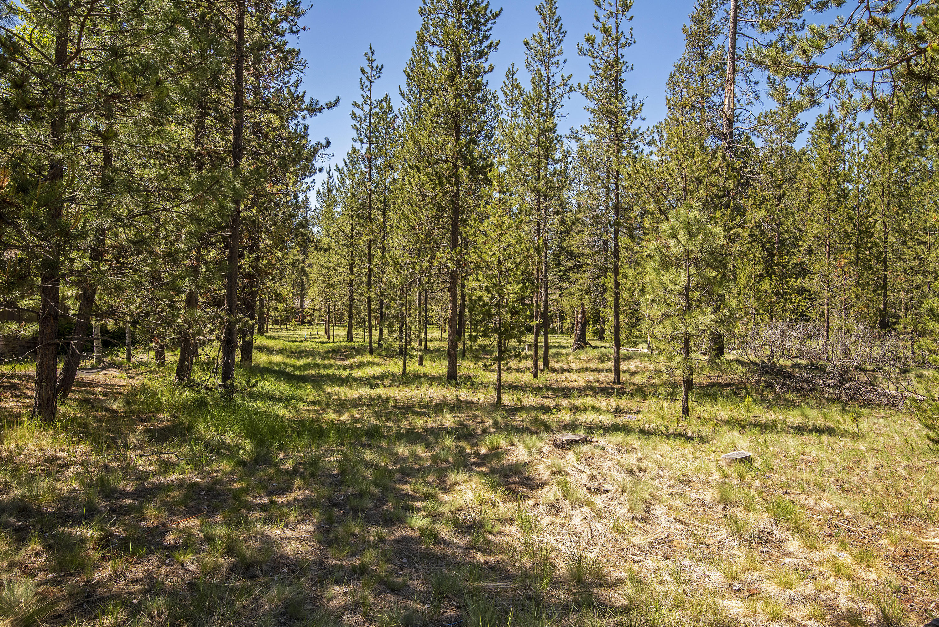 River Village - Land