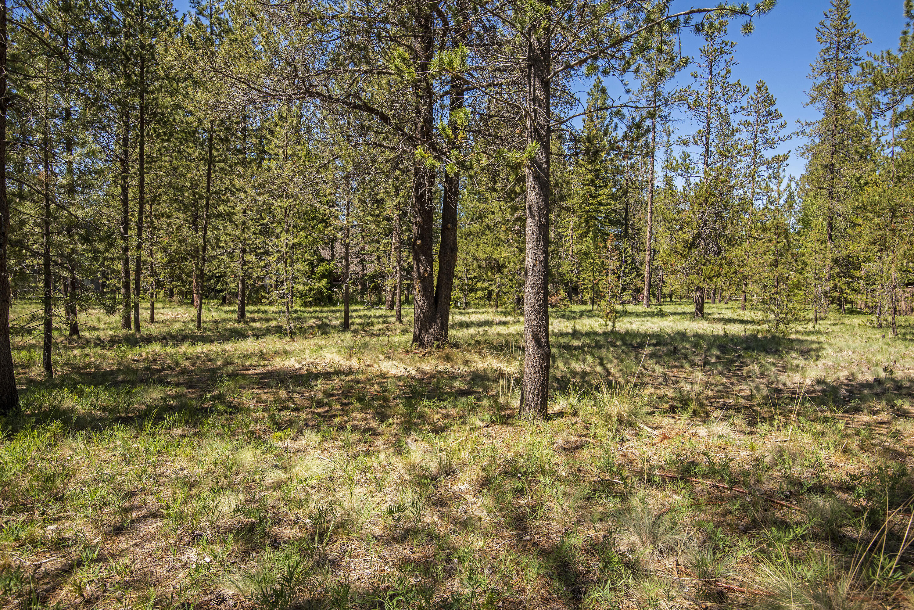 River Village - Land