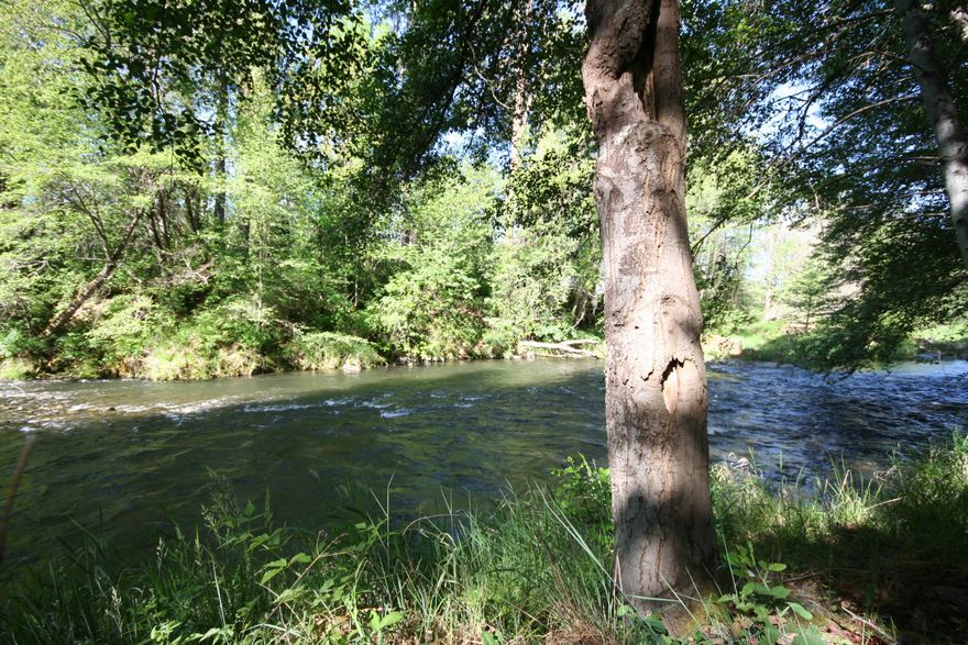 Charming Riverfront Home! Applegate River frontage 1.65 acres with easy river access. 15 minutes to Jacksonville and next to Red Lilly Winery. The home is 2 
bedroom, 2 bath 1332 sq ft. all new hardwood oak floors throughout, New paint, siding, windows, plumbing, roof, A/C unit, granite counters and some electrical. The seller's 
have brought this 1955 home back to it's glory. Walk into the living room with lots of light from the large windows and into the dining room and kitchen. two nicely 
remodeled bedrooms and baths. . Outside is a barn with insulated shop. Yard going to the river is flat and usable. Great fishing and recreation property to call 
home. This home has been remodeled over the last 2 years. Just needs to be finished. Kitchen & bathroom counters have been ordered,  Tile for showers are also ordered. 
Just needs a new owner to finish the work.